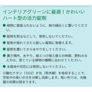 ハイポネックス 植物の活力剤 ガーデンエッセン...の詳細画像3