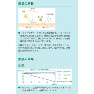 ハイポネックス 植物の活力剤 ガーデンエッセン...の詳細画像4