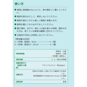 ハイポネックス 植物の活力剤 ガーデンエッセン...の詳細画像5