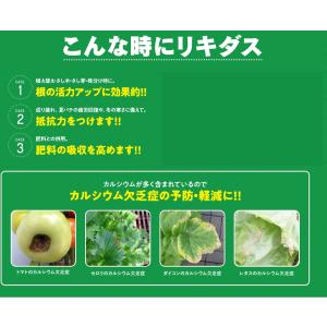 リキダス エコパック720ml 詰め替え用〜 ...の詳細画像3