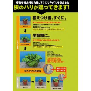 リキダス エコパック720ml 詰め替え用〜 ...の詳細画像4