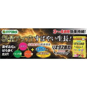 リキダス 顆粒500g 〜 ハイポネックス 土...の詳細画像1