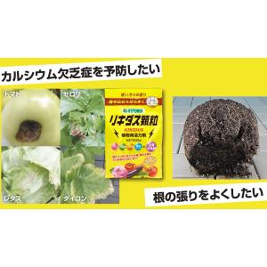 リキダス 顆粒500g 〜 ハイポネックス 土...の詳細画像4