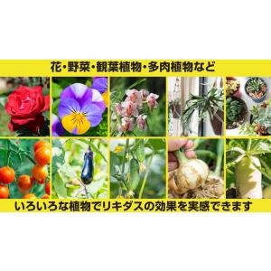 リキダス 顆粒500g 〜 ハイポネックス 土...の詳細画像5