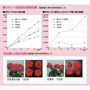 ハイポネックス 切花長もち剤 6袋入〜バラの為...の詳細画像2