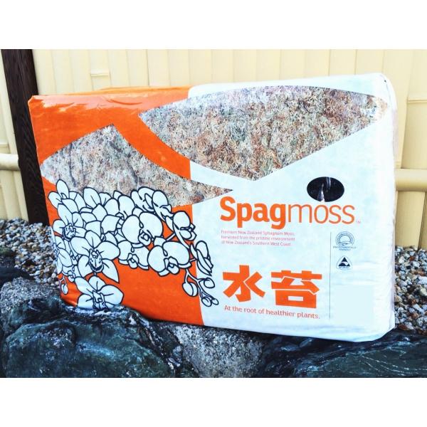 水苔ニュージーランド産ハイグレード　2A　約1kg（復元容量約80L）〜ＡＡグレードSpagmoss...