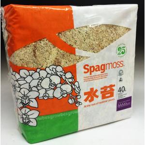 水苔 約150g 特上品 5Aランク ニュージーランド産 送料無料 ミズゴケ