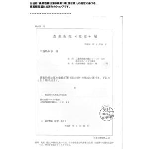 即効護身用 ハチアブユブにも効く 強力殺虫剤 ...の詳細画像5