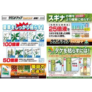 (ケース販売)ラウンドアップ マックスロード1...の詳細画像2