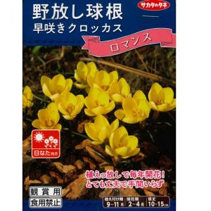 秋植え球根　早咲きクロッカス ロマンス 黄色 9球入〜野放し球根