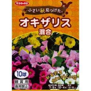 秋植え球根　オキザリス混合 10球 〜小さい秋見つけた ハナカタバミ
