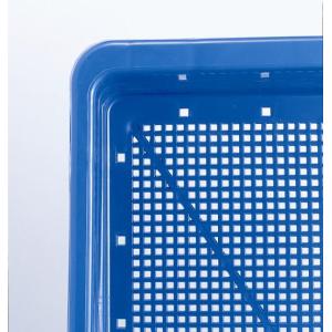 育苗箱 新B型ブルーの詳細画像1