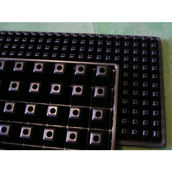 タキイ 根巻防止セルトレー　２００穴(３枚組) 〜育苗 種まき セルトレイ
