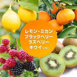 (ケース販売) 花ごころ 果樹 柑橘の土 48...の詳細画像4