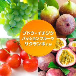 (ケース販売) 花ごころ 果樹 柑橘の土 48...の詳細画像5