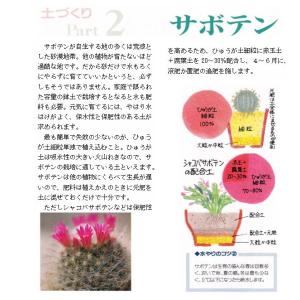 ひゅうが土 18L袋 青袋 小粒サイズ 〜ひゅ...の詳細画像5