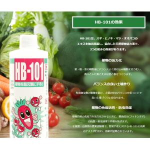 フローラ HB-101 20L(お得なオマケ付...の詳細画像2