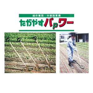 畑作専用・中耕機 たがやすパワー TP-90 (中耕除草機) 向井工業 : ザ