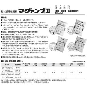 ハイポネックス 業務用 マグァンプ2 20kg...の詳細画像1