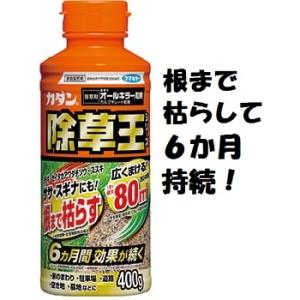 除草剤　カダン　除草王オールキラー粒剤400g　〜最大80平方m約24坪用 フマキラー