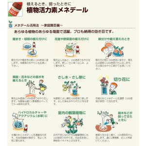 メネデール 5L 植物活力素 植物活力剤の詳細画像1