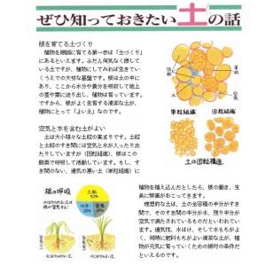 ひゅうが土 18L大袋(中粒 黄袋 or 大粒...の詳細画像1