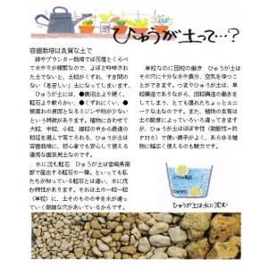 ひゅうが土 18L大袋(中粒 黄袋 or 大粒...の詳細画像2