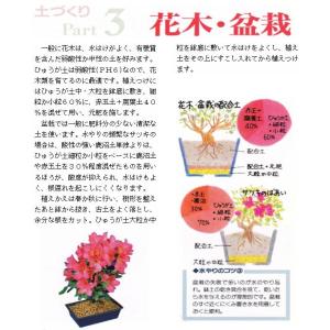 ひゅうが土 18L大袋(中粒 黄袋 or 大粒...の詳細画像5