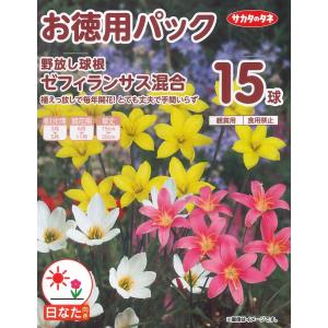 ガーデニングどっとコムyahoo 店 春植え球根 野放し球根 春植え球根 各種 Yahoo ショッピング