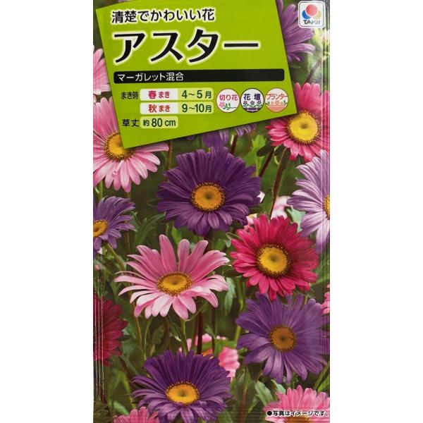 花種子 アスター マーガレット混合 タキイ種苗のタネ
