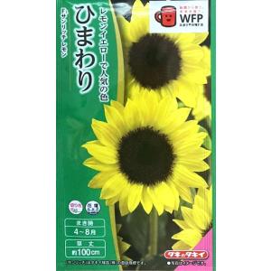 ひまわりの種 F1サンリッチオレンジ 徳用パック FHM602 : 菜園くらぶ