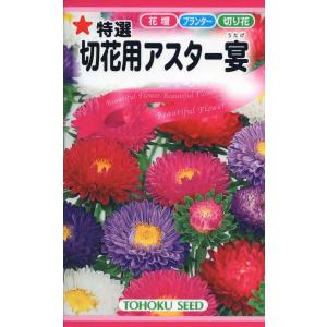 【種子】特選 切花用アスター宴 トーホクのタネ｜gardeningivy