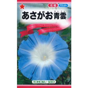 あさがお 花の種 あさがお青雲 アサガオ 藍色に近い日本的色彩の巨大輪 優良配送