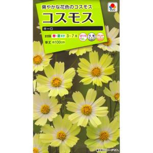 花種子 お徳用パック！ コスモス畑 センセーション混合 タキイ種苗の