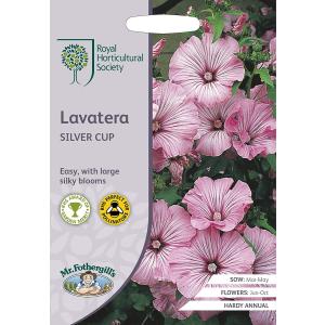 Mr.Fothergill's Seeds Royal Horticultural Society Lavatera SILVER CUP ラヴァテラ シルバーカップ ミスター フォザーギルズシード