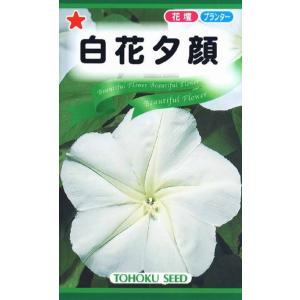 花種子 白花夕顔 トーホクのタネ