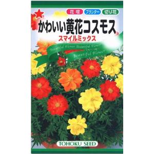 花種子 かわいい黄花コスモス スマイルミックス トーホクのタネ