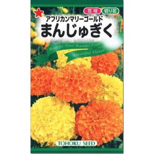 花種子 アフリカンマリーゴールド まんじゅぎく トーホクのタネ