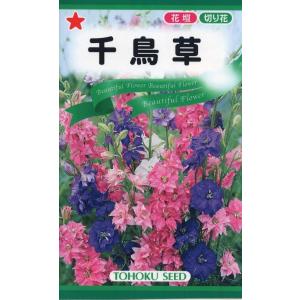 花種子 千鳥草 トーホクのタネ