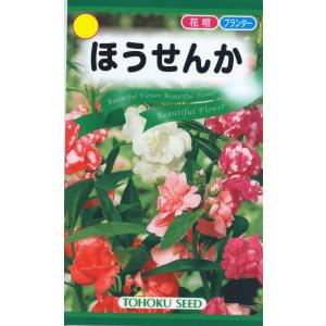 花種子 ほうせんか トーホクのタネ