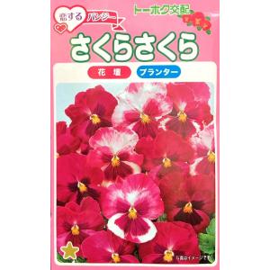 SK9-099 ブロッコリー種子 ペレット5000粒 【野菜種子】【サカタのタネ