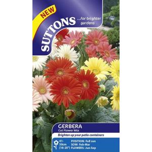 花種子 Suttons Seeds Gerbera 'Cut Flower Mix' ガーベラ 'カット・フラワー・ミックス' サットンズシード