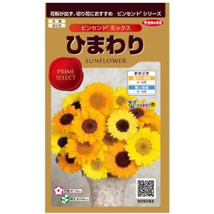 ひまわり サカタのタネ（サカタノタネ） 花の種 ひまわり ビンセント ミックス