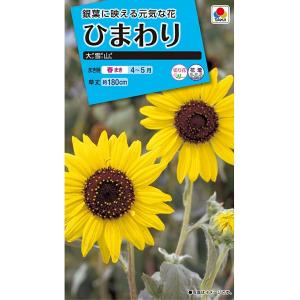 花種 NL300 矮性(低草丈)ひまわり スマイルラッシュ [FHM413]【タキイ