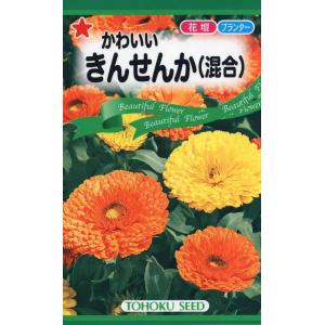 花種子 かわいいきんせんか（混合） トーホクのタネ