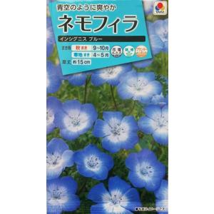 花種子 ネモフィラ インシグニスブルー タキイ種苗のタネ