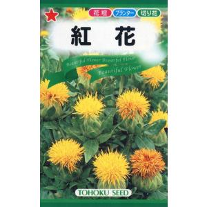 花種子 ふうせんかずら トーホクのタネ : Gardener s Shop Ivy - 通販