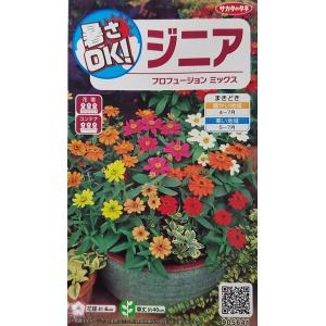 花種子 ジニア プロフュージョン ミックス サカタのタネ 農林水産省品種登録 登録品種名 SAKZIN015 SAKZIN016 SAKZIN017 SAKZIN020 海外持出禁止 他3種類