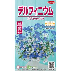 ふうせんかずら種　100粒 フウセンカズラの種 100+α粒 フウセンカズラ 種 リース素材 クラフト