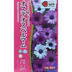 花種子 百日草（ジニア） カクタス咲混合 タキイ種苗のタネ : Gardener